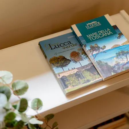Loft Il Chiostro Della Cattedrale Lucca